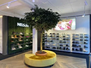Nelson Baarn